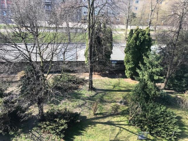 Apartament Gosia Nysa Luaran gambar