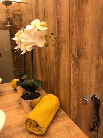 Apartament Gosia Nysa Luaran gambar