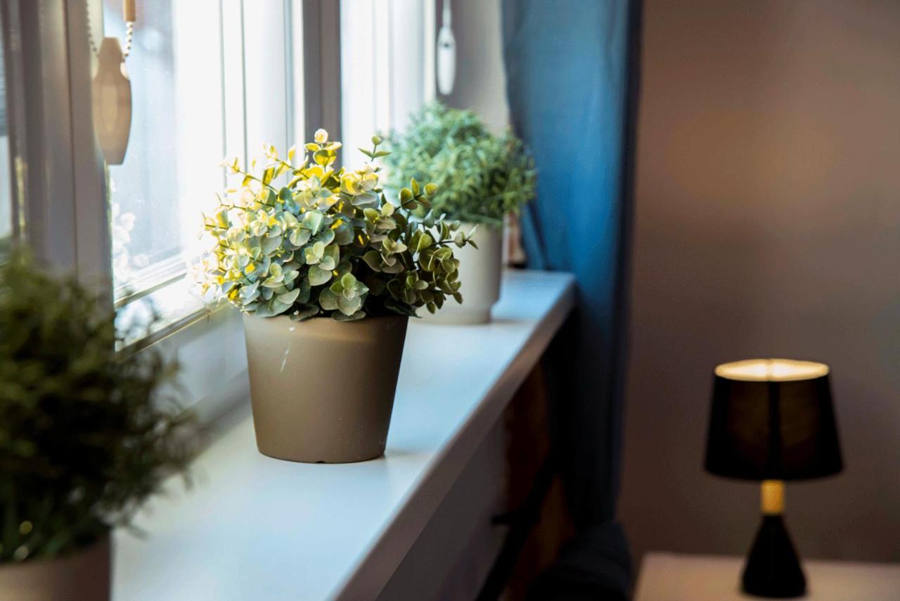 Apartament Gosia Nysa Luaran gambar